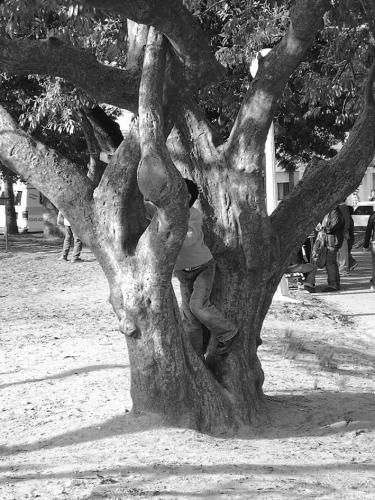 Fotografia de GUSH - Galeria Fotografica: FOTOS RECREATIVAS - Foto: NIEZ