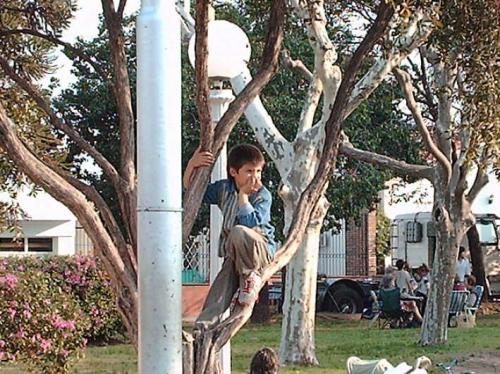 Fotografia de GUSH - Galeria Fotografica: FOTOS RECREATIVAS - Foto: NIEZ 2