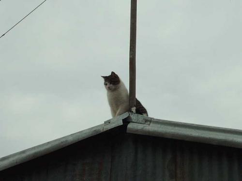 Fotografia de GUSH - Galeria Fotografica: FOTOS RECREATIVAS - Foto: ASECHANDO