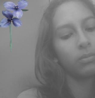 Fotografia de dahlia - Galeria Fotografica: Mis fotos - Foto: Flor