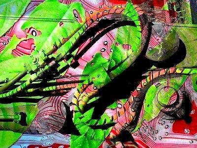 Fotografia de artammon - Galeria Fotografica: artammon - Foto: jungle laugh 4