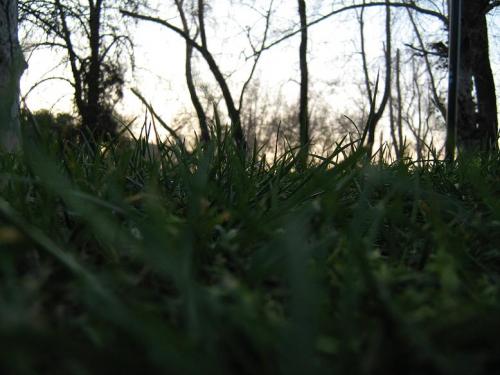 Fotografia de Marknorway - Galeria Fotografica: Santiago - Foto: Parque Forestal