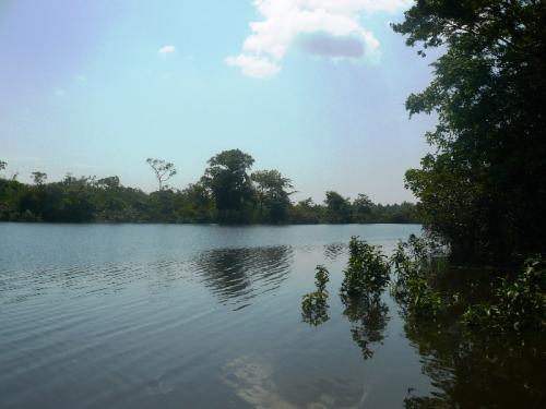 Fotografia de Vero Art! - Galeria Fotografica: Verde Obssesion - Foto: verde agua								