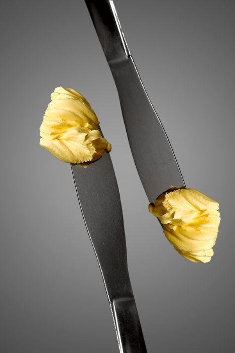 Fotografia de crissorama - Galeria Fotografica: Product Shot - Foto: 