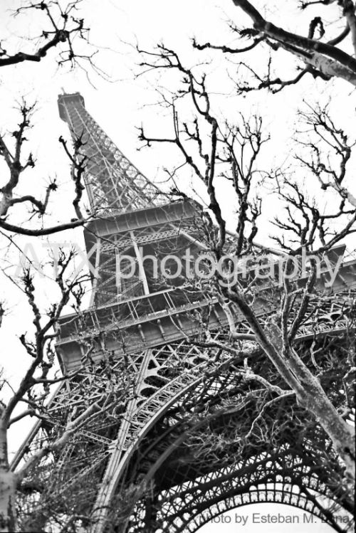 Fotografia de ATXphotography - Galeria Fotografica: ARQUITECTURA - Foto: TOUR EIFFEL / Esteban M. Luna
