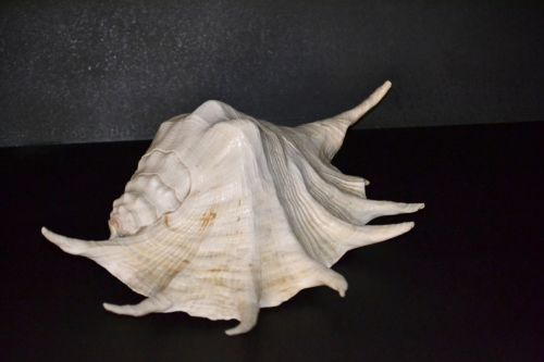 Fotografia de Chema Valverde - Galeria Fotografica: Mis trabajos - Foto: 