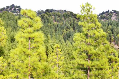 Fotografia de Chema Valverde - Galeria Fotografica: Mis trabajos - Foto: 