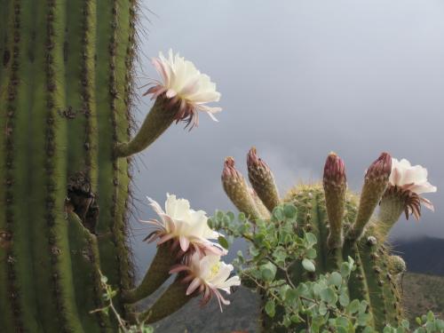 Fotografia de Malabrigo - Galeria Fotografica: Acercase a la naturaleza - Foto: 