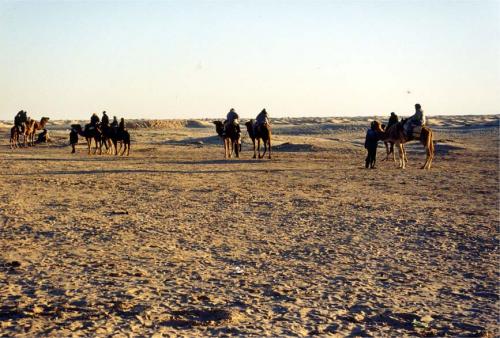 Fotografia de alvaro - Galeria Fotografica: Viajes - Foto: Douz