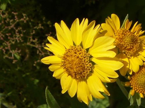 Fotografia de n/a - Galeria Fotografica: Nubes1 - Foto: 								