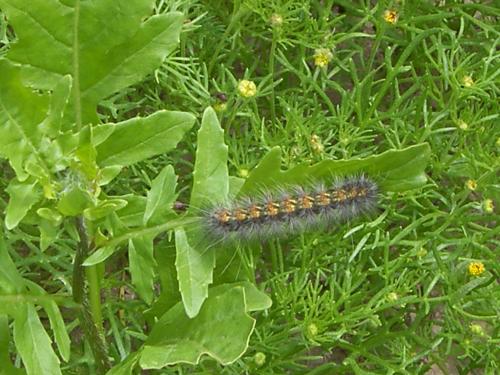 Fotografia de n/a - Galeria Fotografica: Nubes1 - Foto: 								