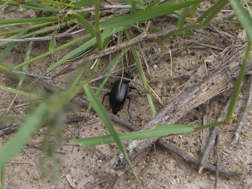 Fotografia de n/a - Galeria Fotografica: Nubes1 - Foto: 								