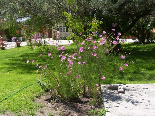 Fotografia de n/a - Galeria Fotografica: Nubes1 - Foto: 								