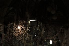 Fotografia de josema - Galeria Fotografica: petra - Foto: 