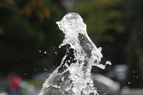 Fotografia de ASTER Comunicacin - Galeria Fotografica: AQUA VITAE - Foto: 