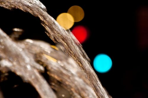 Fotografia de ASTER Comunicacin - Galeria Fotografica: AQUA VITAE - Foto: 