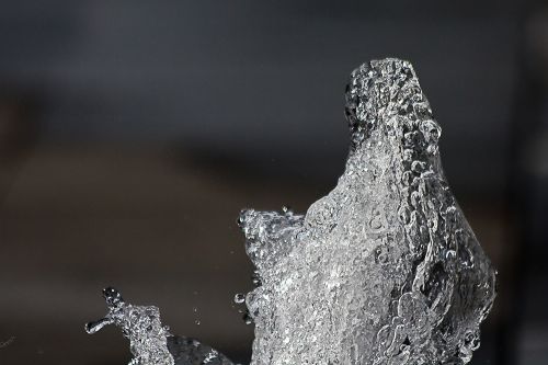 Fotografia de ASTER Comunicacin - Galeria Fotografica: AQUA VITAE - Foto: 