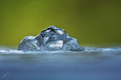 Fotografia de ASTER Comunicacin - Galeria Fotografica: AQUA VITAE - Foto: 