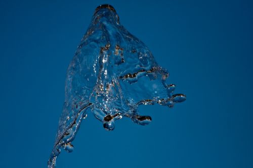 Fotografia de ASTER Comunicacin - Galeria Fotografica: AQUA VITAE - Foto: 