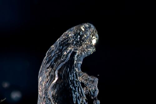 Fotografia de ASTER Comunicacin - Galeria Fotografica: AQUA VITAE - Foto: 