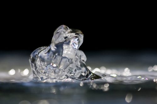 Fotografia de ASTER Comunicacin - Galeria Fotografica: AQUA VITAE - Foto: 