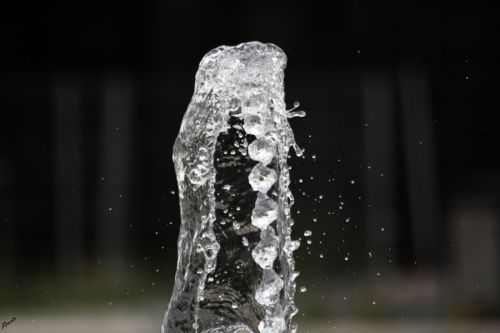 Fotografia de ASTER Comunicacin - Galeria Fotografica: AQUA VITAE - Foto: 