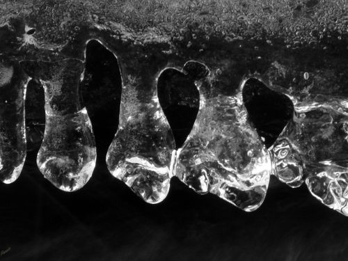 Fotografia de ASTER Comunicacin - Galeria Fotografica: AQUA VITAE - Foto: 