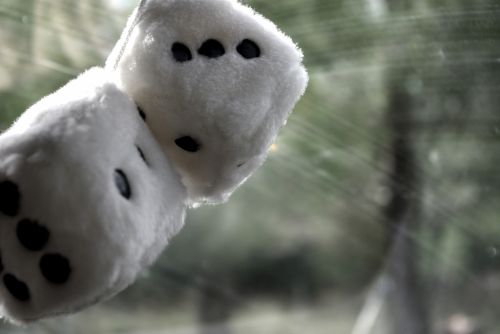 Fotografia de paula - Galeria Fotografica: Foto books - Foto: 