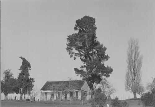 Fotografia de Hector Yaez Linnebrink - Galeria Fotografica: ultimas fotos tomadas en blanco y negro - Foto: Nercon alto