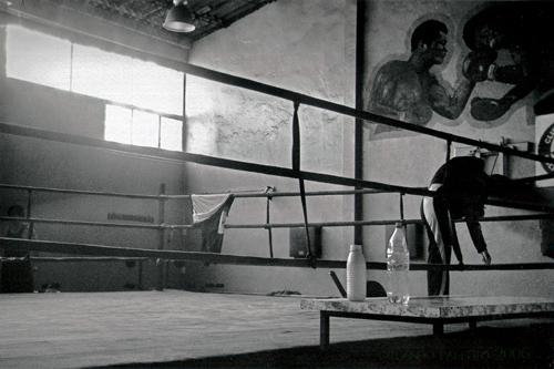 Fotografia de orlandovisual - Galeria Fotografica: imagen parlante - Foto: en la cuerda