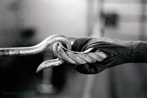 Fotografia de orlandovisual - Galeria Fotografica: imagen parlante - Foto: encuentro cuerdas
