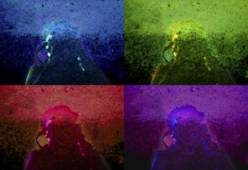 Fotografia de Leticia Pedrosa - Galeria Fotografica: paisajes - Foto: yocolor