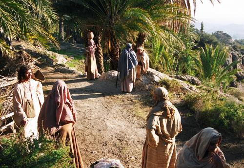 Fotografia de retama - Galeria Fotografica: BIBLICO - Foto: 