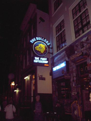 Fotografia de Fran�al - Galeria Fotografica: Garden - Foto: Scape