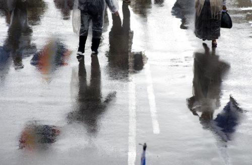 Fotografia de Daniel Caballero M. - Galeria Fotografica: Muestra de Fotografas de Prensa - Foto: 