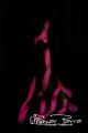 Fotos de Guaricoenlinea -  Foto: Light Body Painting - 