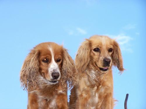 Fotografia de Sin Nombre - Galeria Fotografica: Paisajes y Naturaleza - Foto: ternura
