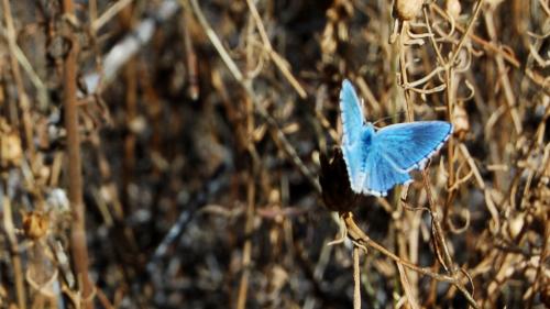 Fotografia de Oscar - Galeria Fotografica: Peque�os para�sos - Foto: 