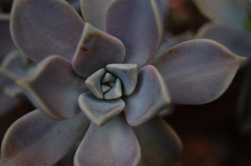 Fotografia de Oscar - Galeria Fotografica: Peque�os para�sos - Foto: 