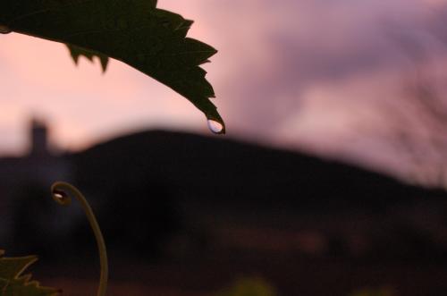 Fotografia de Oscar - Galeria Fotografica: Peque�os para�sos - Foto: 