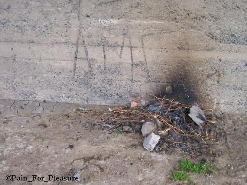 Fotografia de Carla Noel� - Galeria Fotografica: Chascomus - Foto: Amo