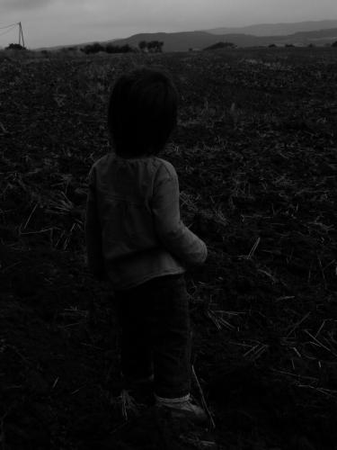 Fotografia de pin - Galeria Fotografica: parte de mi - Foto: papa mira