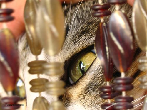 Fotografia de Daniel Calle Haut - Galeria Fotografica: Catarsis - Foto: 