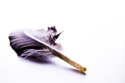 Fotografia de Angel Lopez de Leon Jaramillo - Galeria Fotografica: Estudio I - Foto: Pluma