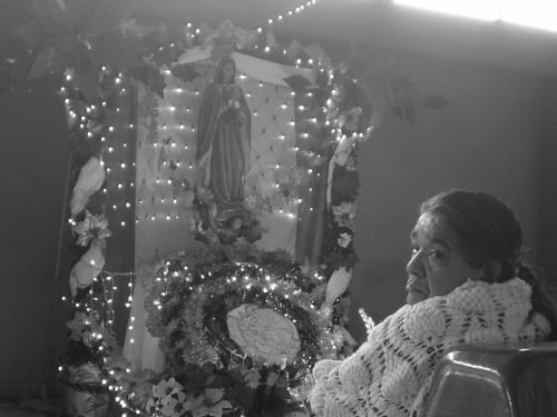 Fotografia de Gunter Rojas - Galeria Fotografica: FOTOGRAFAS MAS, PERO NO DE M - Foto: 