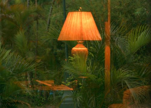 Fotografia de enriquequiroz - Galeria Fotografica: agua - Foto: reflejo