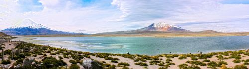 Fotografia de Vildsola Garrig Fotgrafia - Galeria Fotografica: Panoramicas de Chile - Foto: Lago Chungara