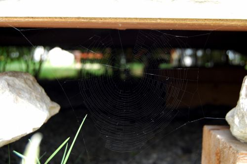 Fotografia de michel lopez - Galeria Fotografica: Algn lugar - Foto: arquitectura animal