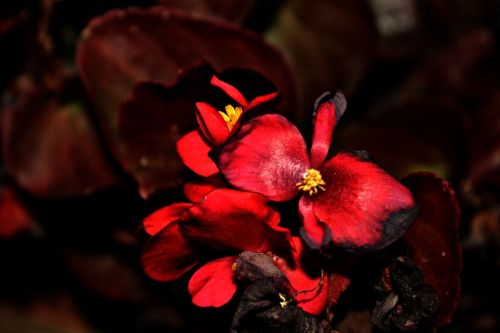 Fotografia de Mario.C - Galeria Fotografica: Mi book - Foto: 