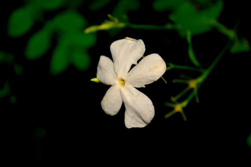 Fotografia de Mario.C - Galeria Fotografica: Mi book - Foto: 